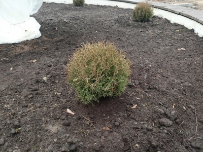 Детский парк - 14.jpg